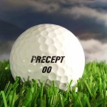 Golfball der Marke Precept