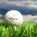 Hogan Golfball
